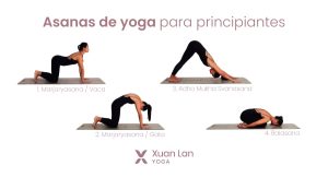 Yoga para principiantes: Iniciación en las posturas y técnicas básicas del yoga.